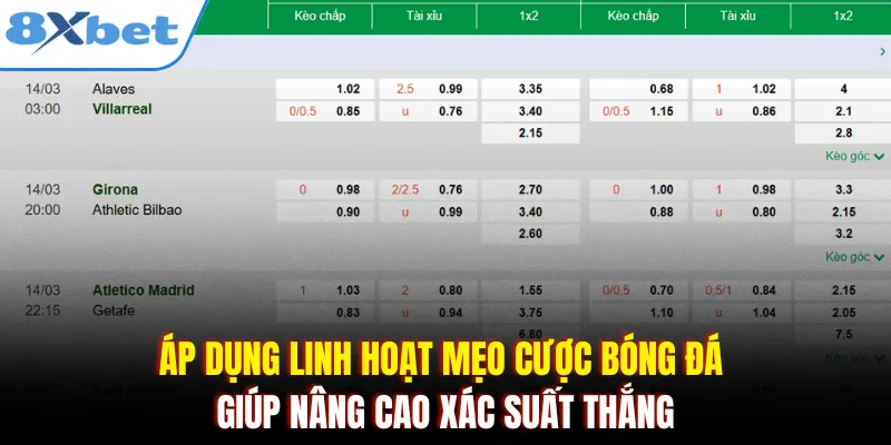 Áp dụng linh hoạt mẹo cược bóng đá giúp nâng cao xác suất thắng