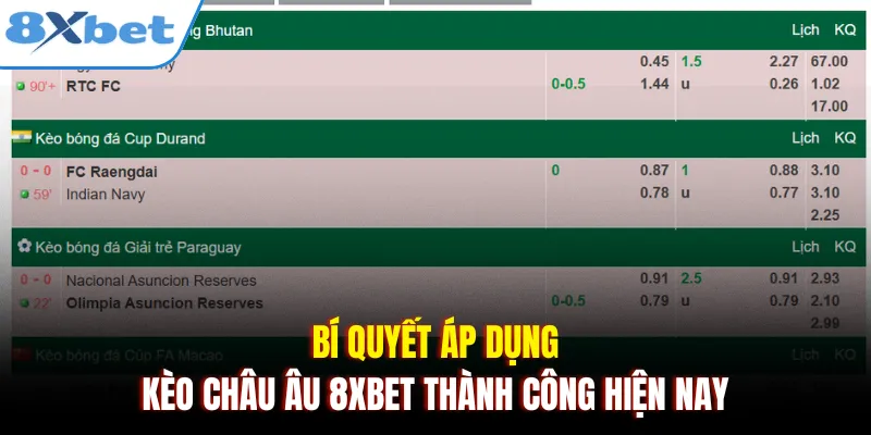 Bí quyết áp dụng kèo châu Âu 8xbet thành công hiện nay