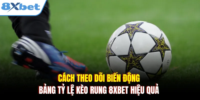 Cách theo dõi biến động bảng tỷ lệ kèo rung 8xbet hiệu quả 