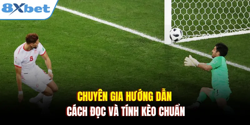 Chuyên gia hướng dẫn cách đọc và tính kèo chuẩn