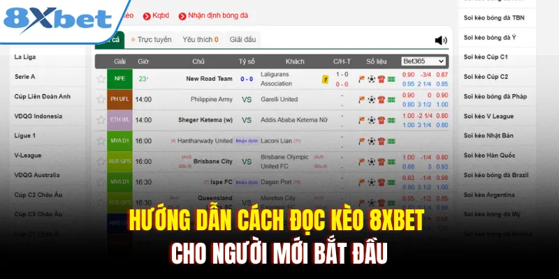 Hướng dẫn cách đọc kèo 8xbet cho người mới bắt đầu