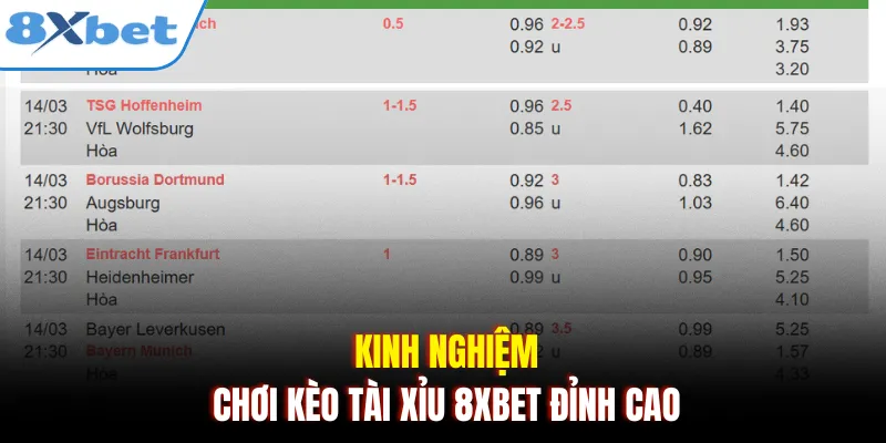 Kinh nghiệm chơi kèo tài xỉu 8xbet đỉnh cao