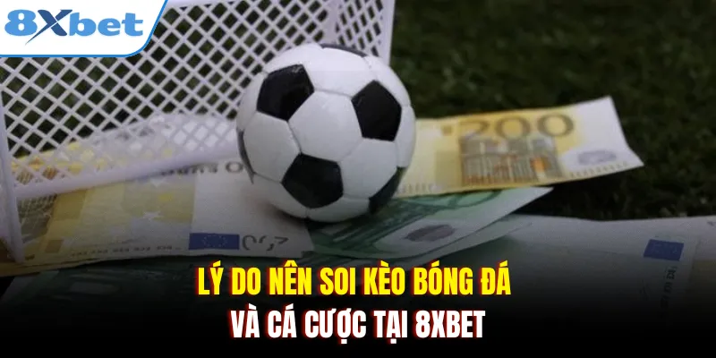 Lý do nên soi kèo bóng đá và cá cược tại 8xbet