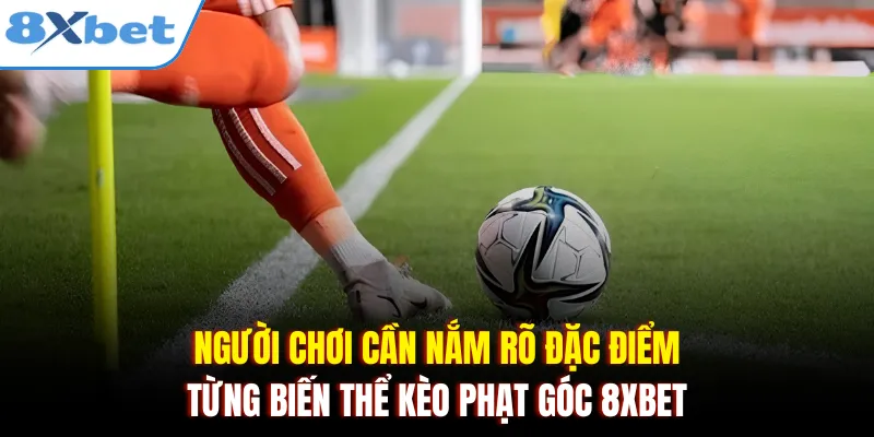Người chơi cần nắm rõ đặc điểm từng biến thể kèo phạt góc 8xbet