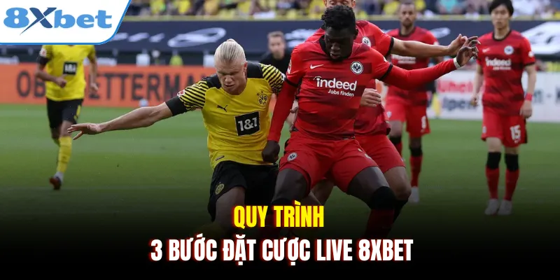 Quy trình 3 bước đặt cược live 8xbet