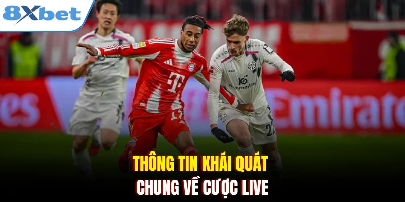 Thông tin khái quát chung về cược live