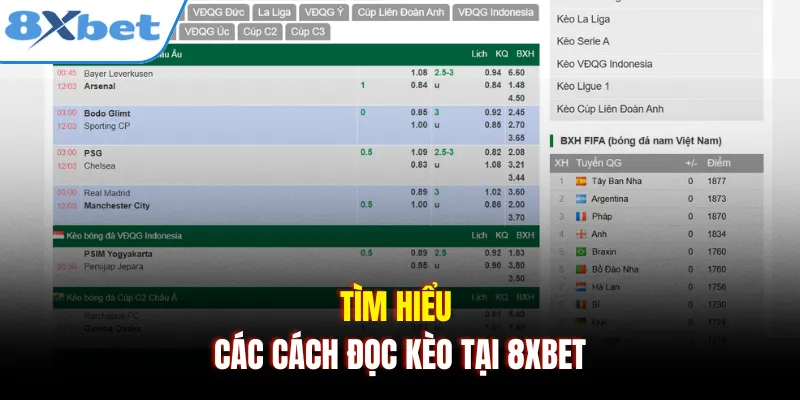 Tìm hiểu các cách đọc kèo tại 8xbet