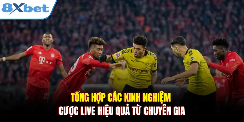 Tổng hợp các kinh nghiệm cược live hiệu quả từ chuyên gia
