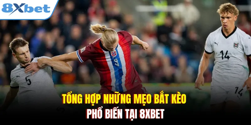 Tổng hợp những mẹo bắt kèo phổ biến tại 8xbet